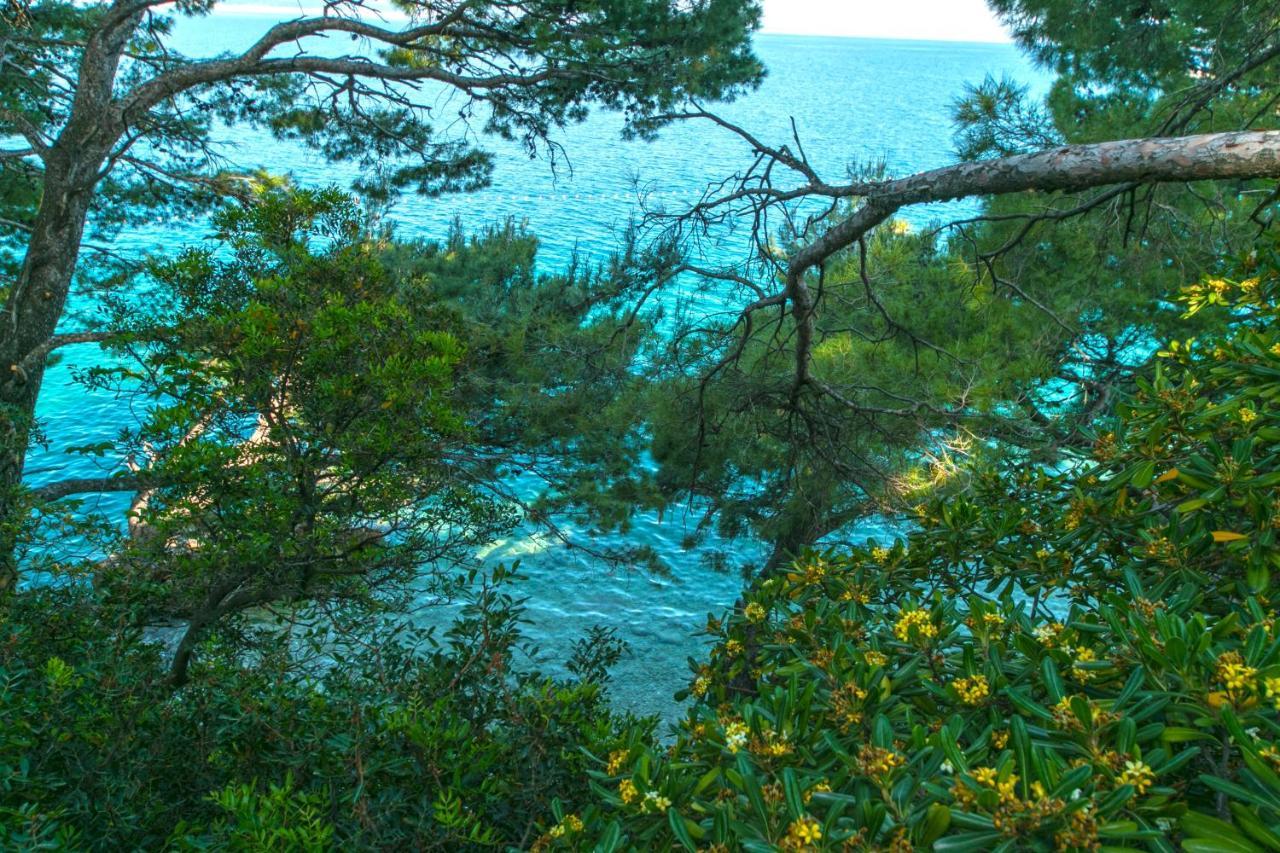 Apartments By The Sea Brela, Makarska - 16950 Extérieur photo